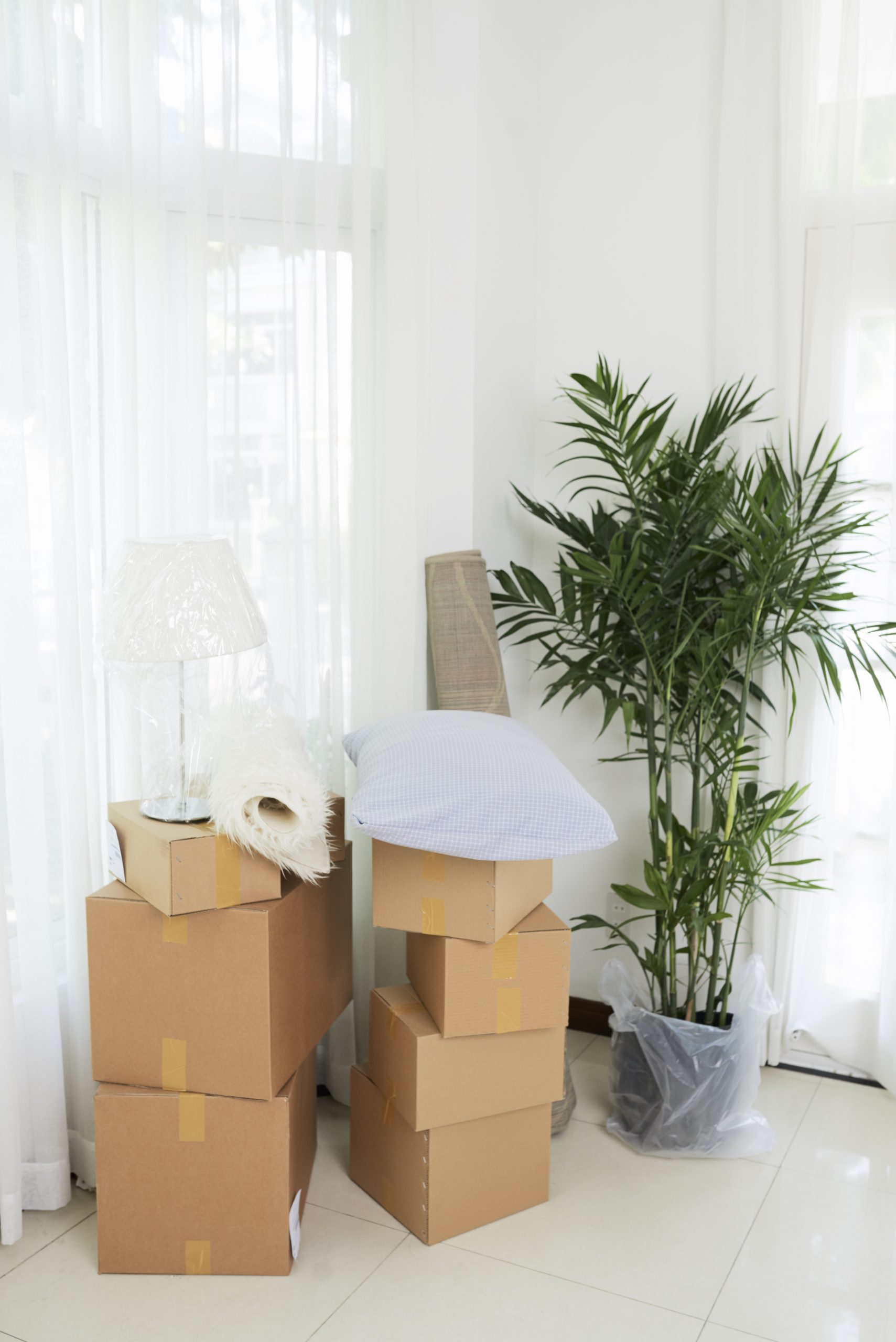 couple moving boxes